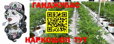 jwh Дубна