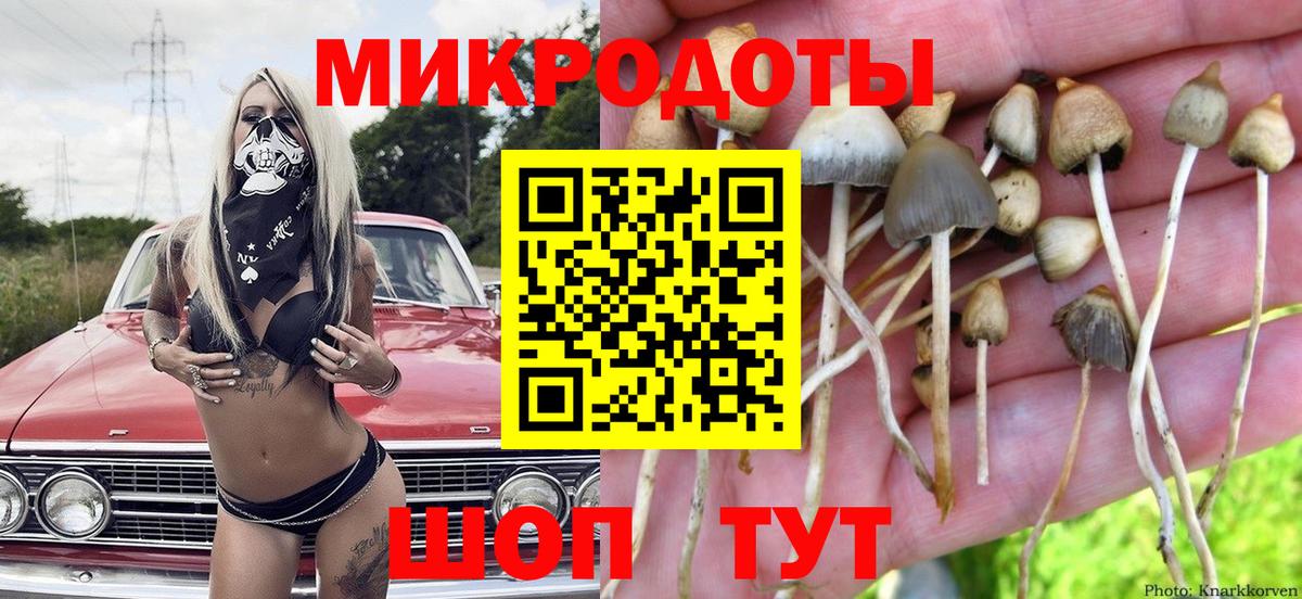 Галлюциногенные грибы мухоморы Лангепас