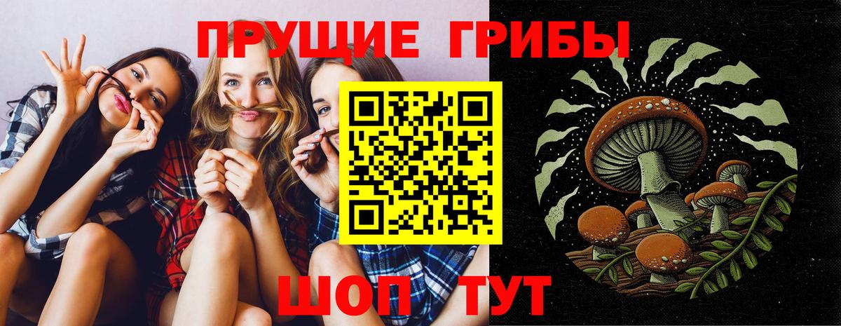Лангепас  Галлюциногенные грибы прущие грибы  Вход с VPN 